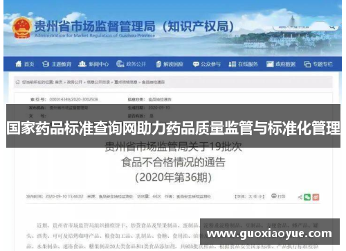国家药品标准查询网助力药品质量监管与标准化管理