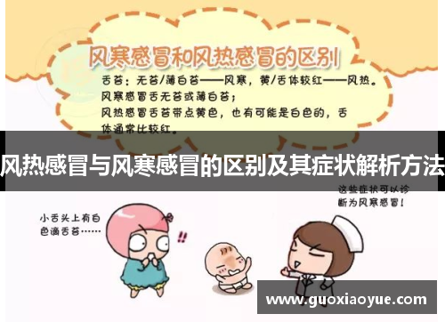 风热感冒与风寒感冒的区别及其症状解析方法