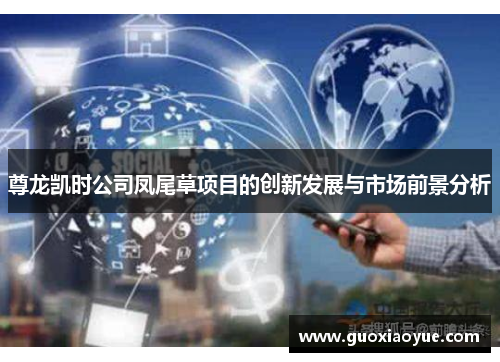 尊龙凯时公司凤尾草项目的创新发展与市场前景分析