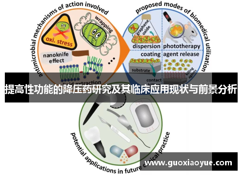 提高性功能的降压药研究及其临床应用现状与前景分析